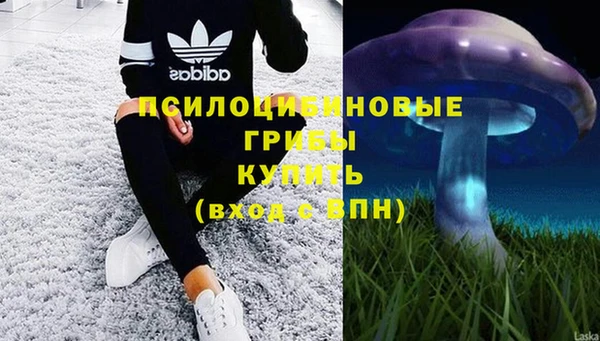 трава Верхнеуральск