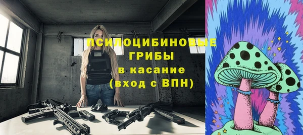 молекула духа Верея