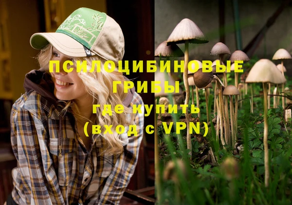 прущая мука Ленинск