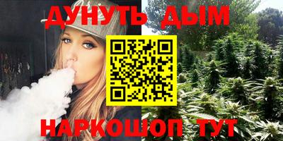 apvp Гусев