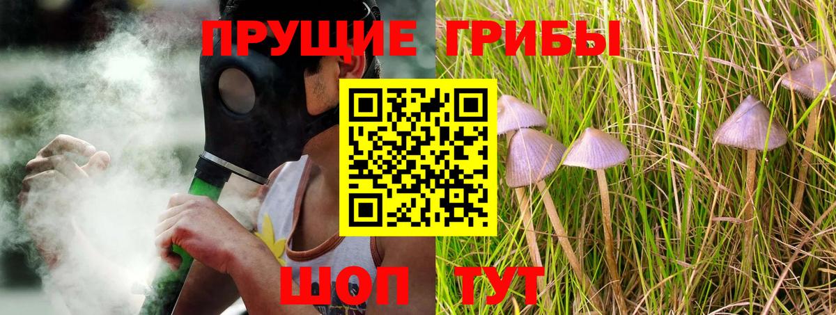 Псилоцибиновые грибы GOLDEN TEACHER Мариинск