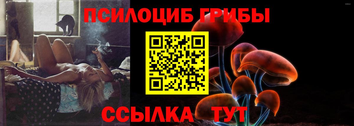 Мариинск  Псилоцибиновые грибы ЛСД  Вход с VPN 